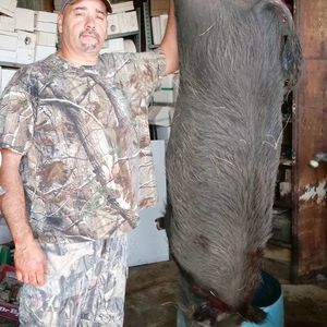 Meet your Posher, Damon